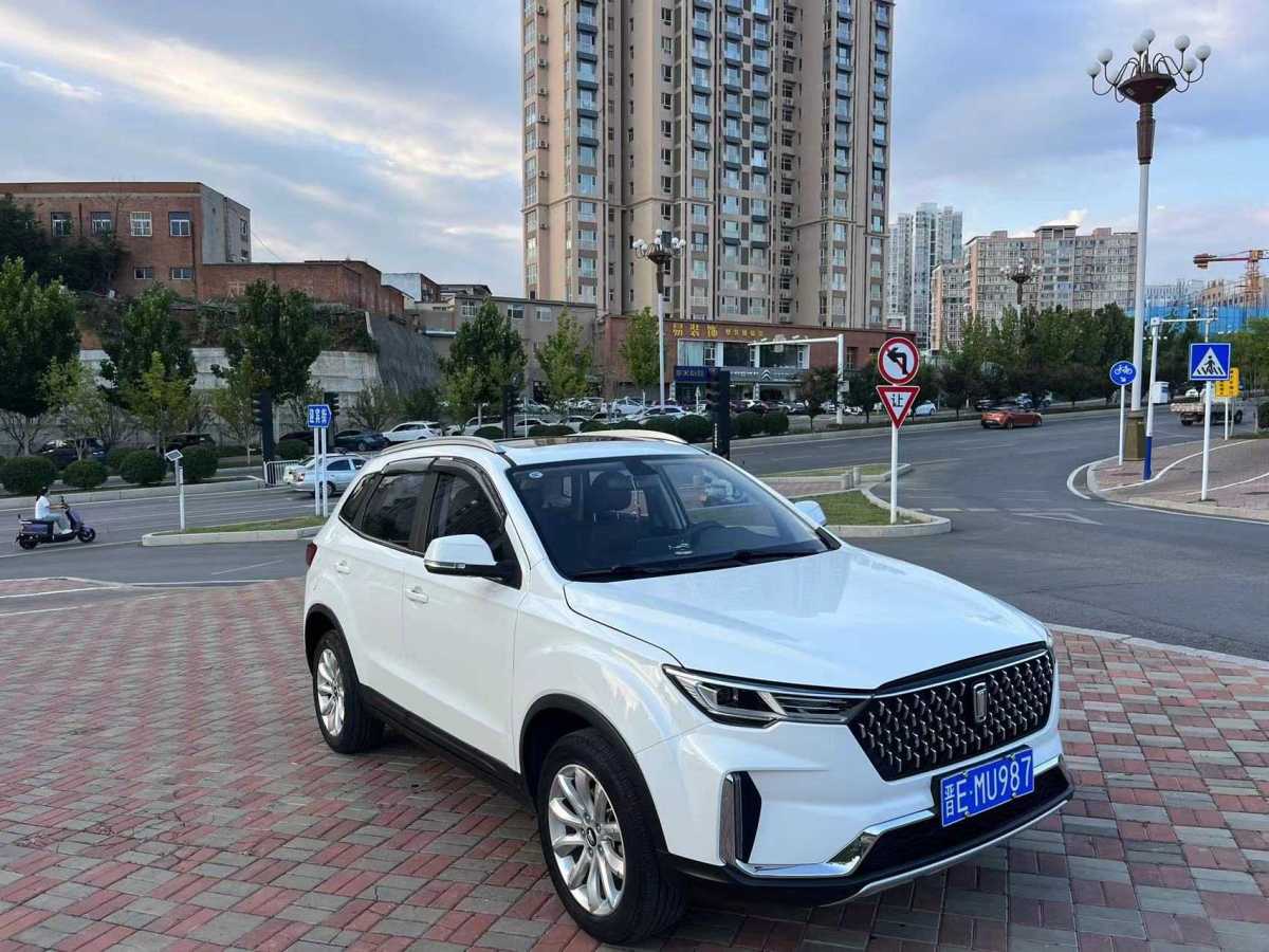 奔騰 T33  2019款 1.6L 手動豪華型 國VI圖片