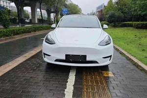 Model Y 特斯拉 改款 长续航后轮驱动版