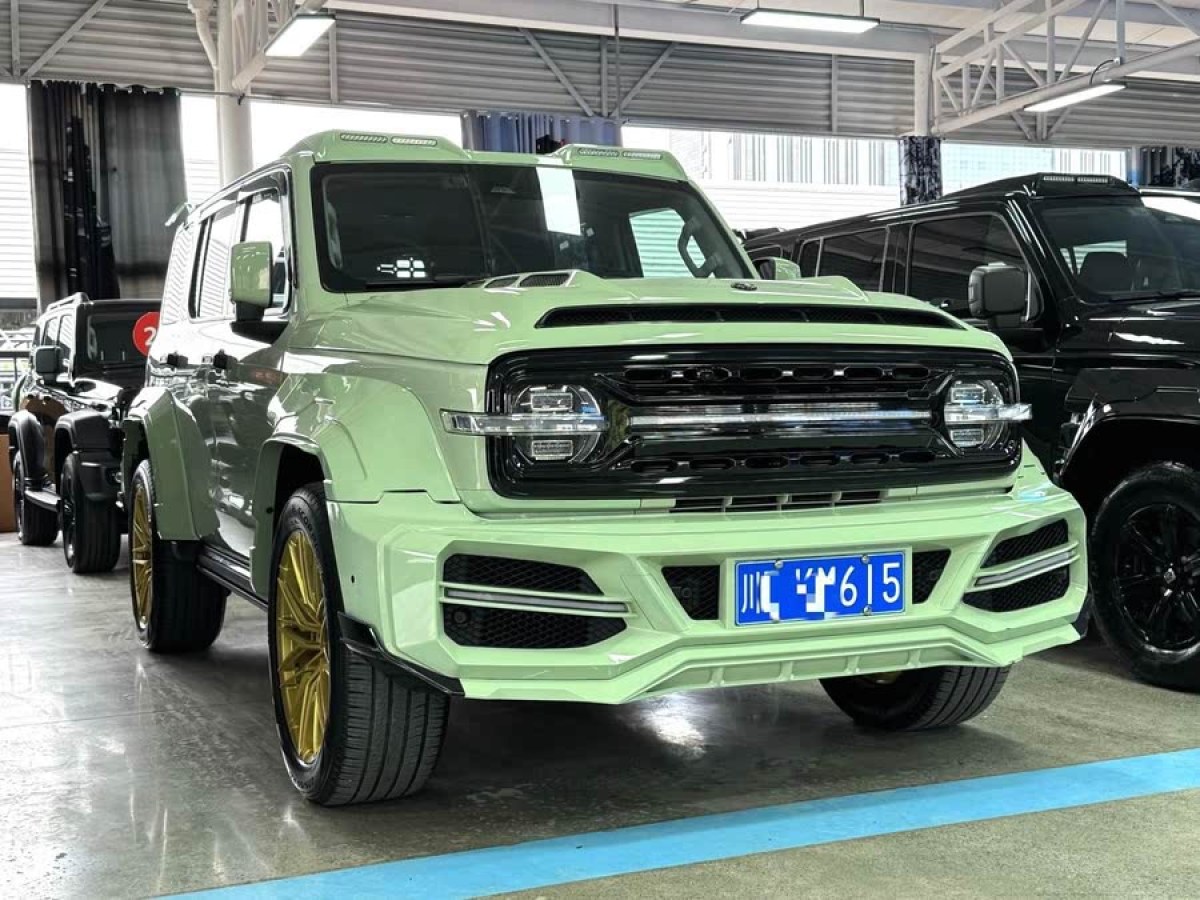 坦克 坦克300  2023款 城市版 2.0T 很有型圖片