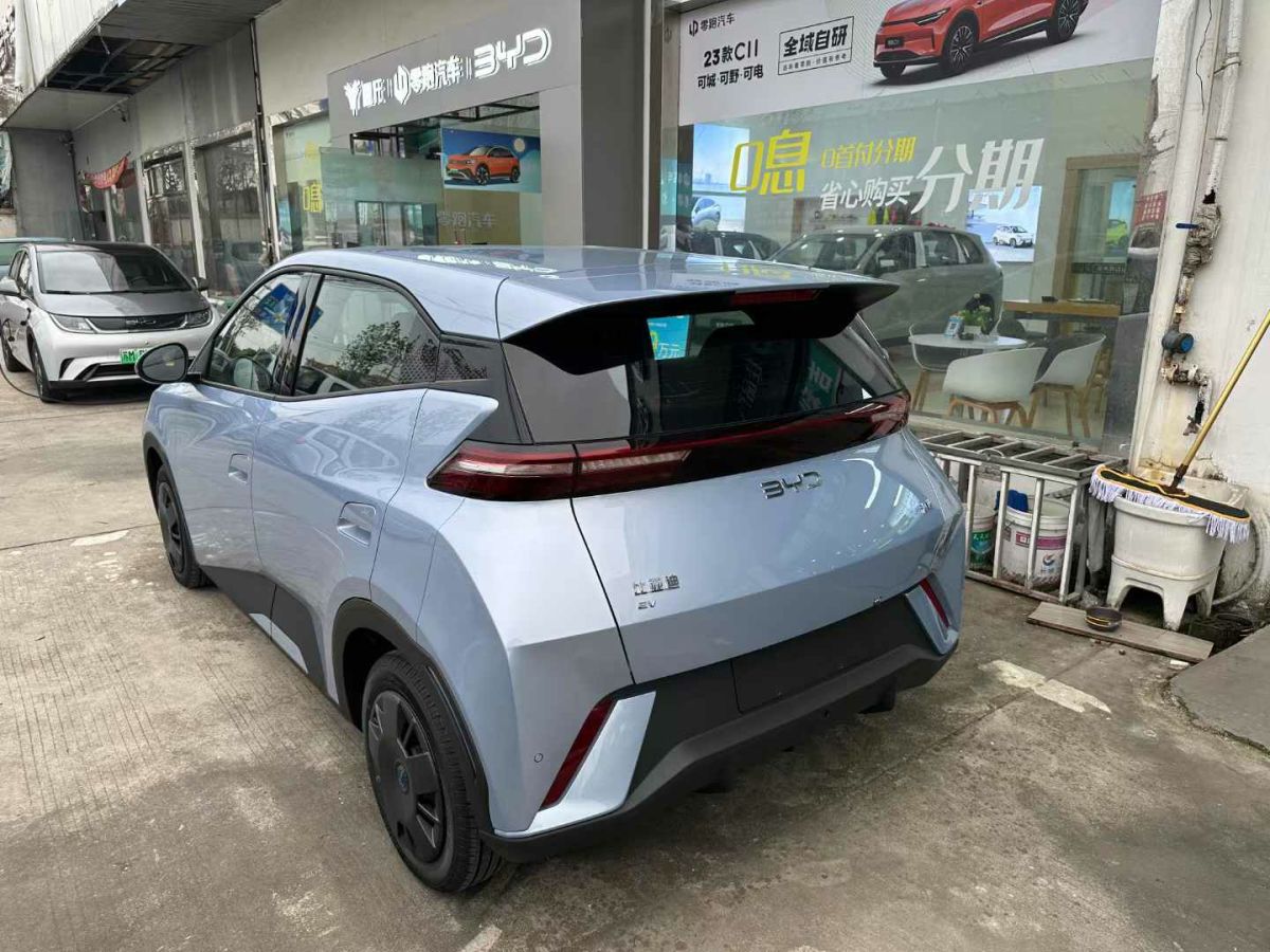 比亞迪 宋L  2024款 550km 卓越型圖片