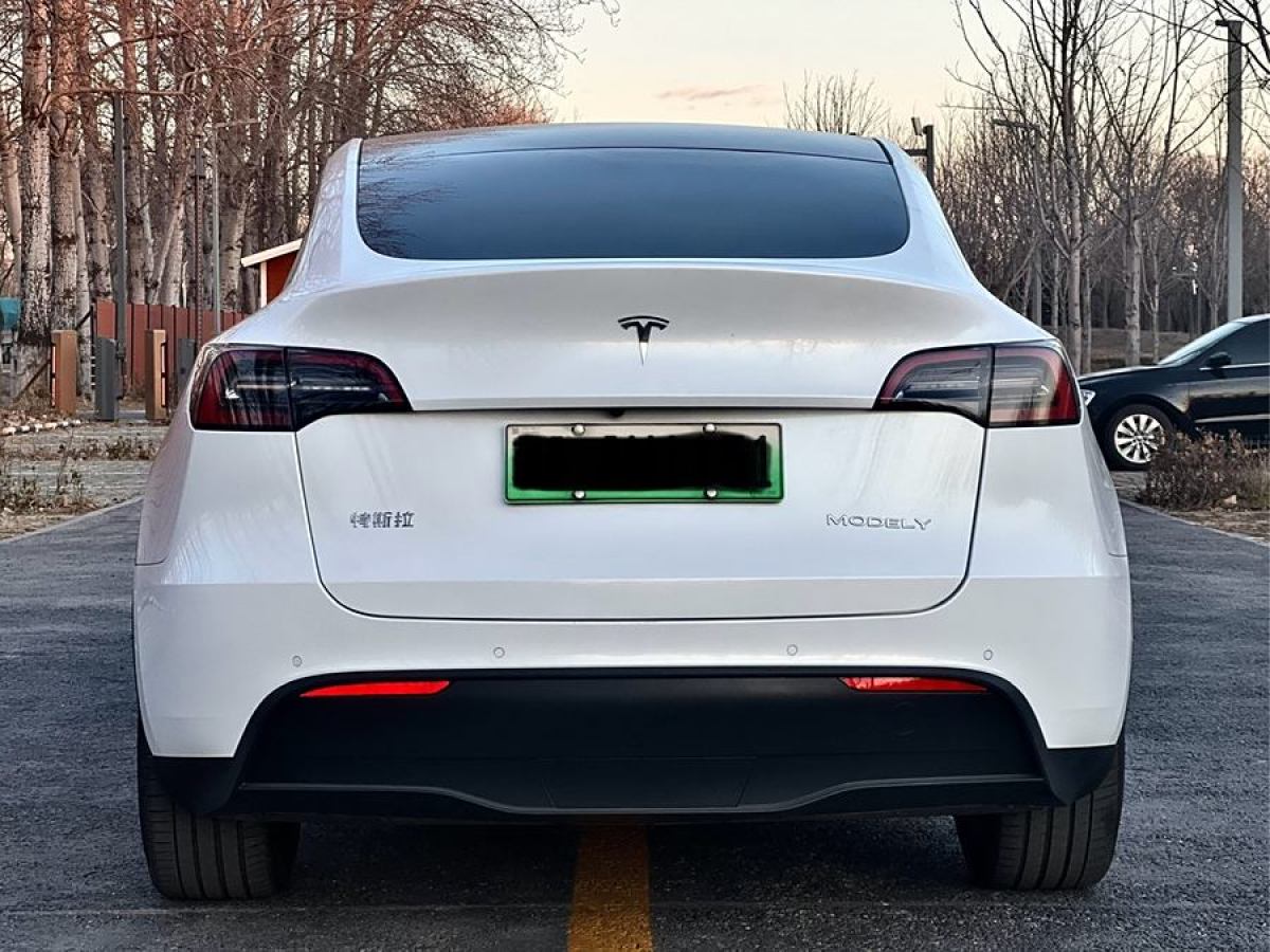 特斯拉 Model Y  2022款 改款 長(zhǎng)續(xù)航全輪驅(qū)動(dòng)版圖片