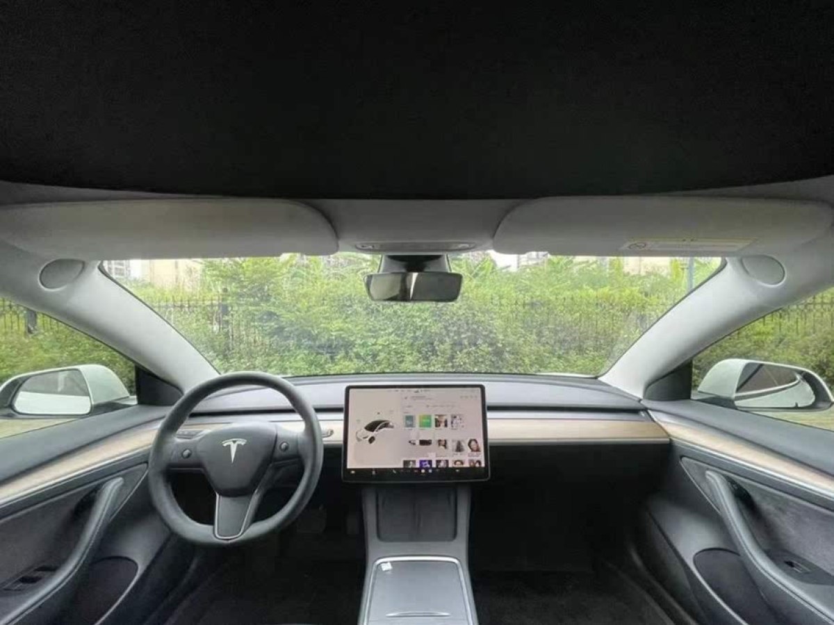 特斯拉 Model 3  2021款 改款 標(biāo)準(zhǔn)續(xù)航后驅(qū)升級(jí)版圖片