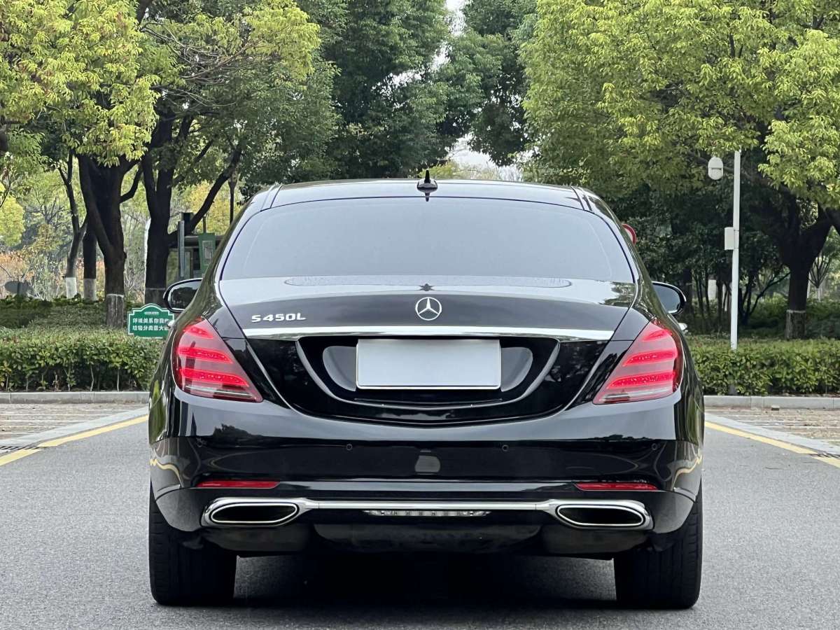 奔馳 奔馳S級  2019款 S 350 L 尊貴型 臻藏版圖片