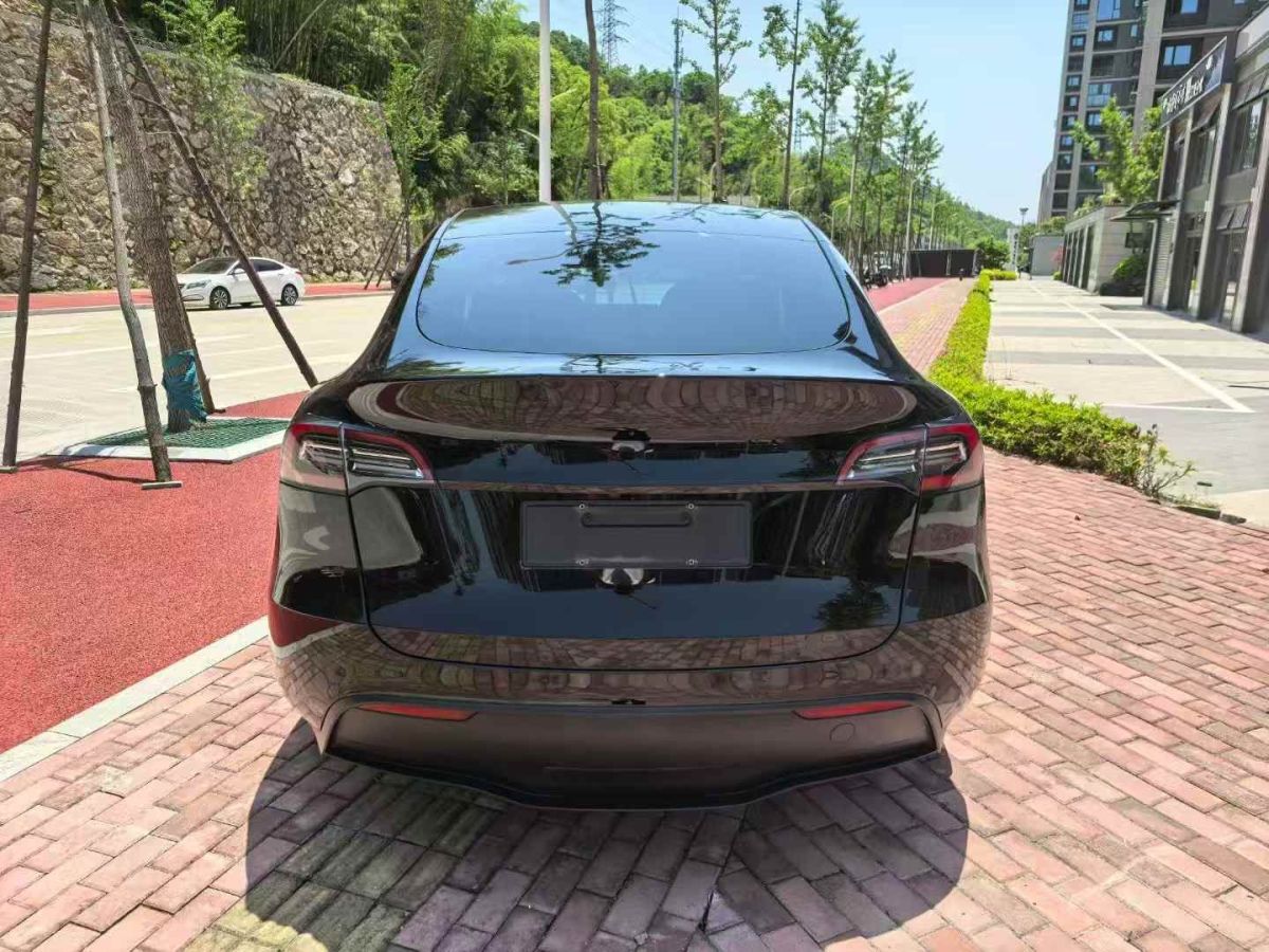 特斯拉 Model Y  2022款 Performance高性能全輪驅(qū)動(dòng)版圖片