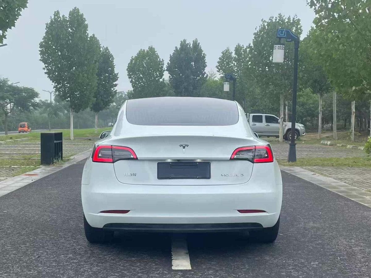 特斯拉 Model 3  2020款 標(biāo)準(zhǔn)續(xù)航后驅(qū)升級(jí)版圖片