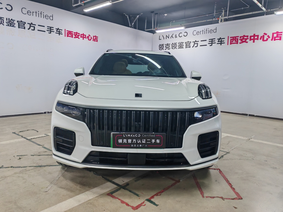 領(lǐng)克 領(lǐng)克09新能源  2021款 2.0T PHEV Halo 六座圖片