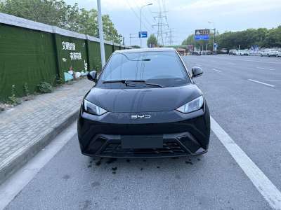 2025年6月 比亞迪 海鷗 405km 飛翔版圖片