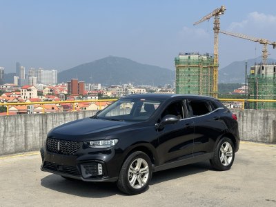 2020年1月 WEY VV5 1.5T 两驱颜先锋图片