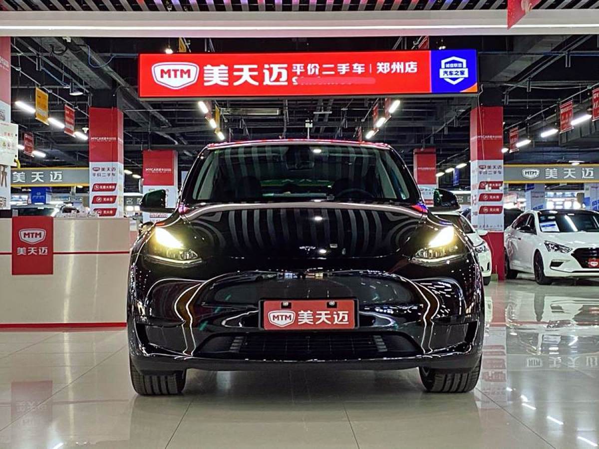 特斯拉 Model 3  2020款 改款 長續(xù)航后輪驅(qū)動版圖片