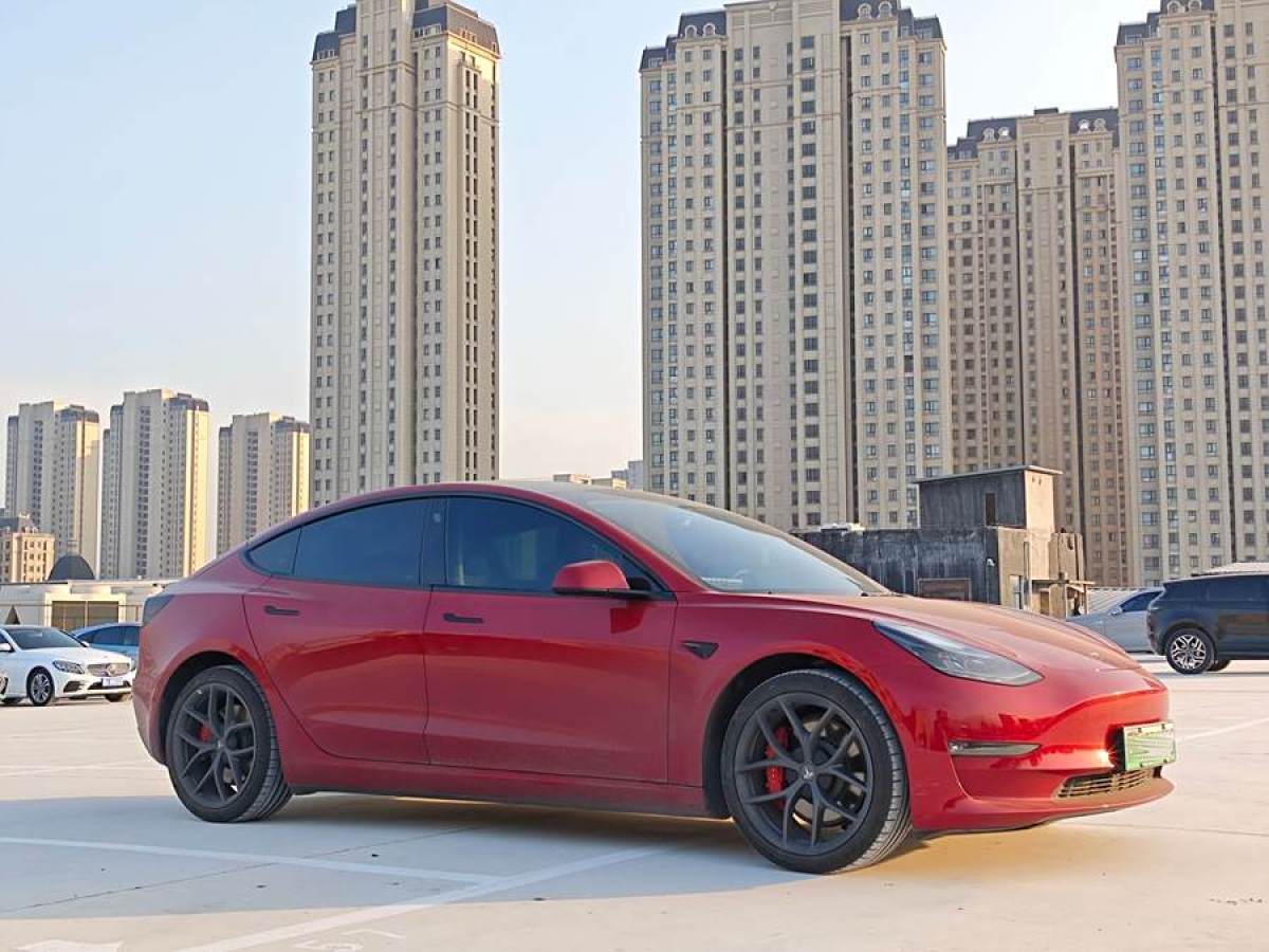 特斯拉 Model Y  2021款 Performance高性能全輪驅(qū)動(dòng)版圖片