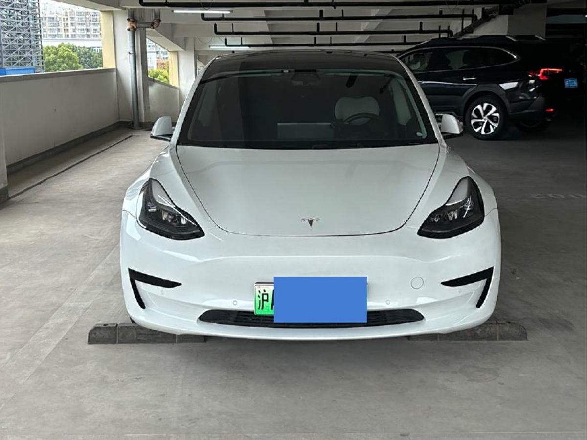 特斯拉 Model 3  2019款 標(biāo)準(zhǔn)續(xù)航后驅(qū)升級(jí)版圖片