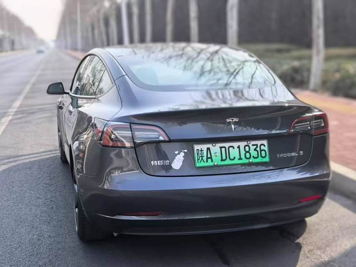 特斯拉 Model 3  2021款 改款 標(biāo)準(zhǔn)續(xù)航后驅(qū)升級版圖片