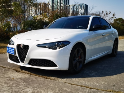 2020年5月 阿爾法·羅密歐 Giulia 2.0T 280HP 豪華版圖片