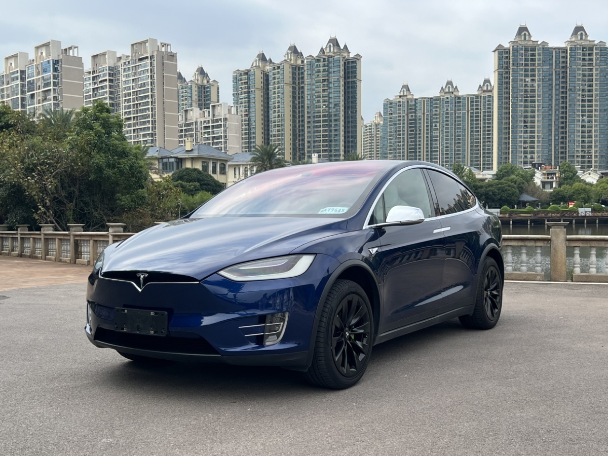 特斯拉 Model X  2016款 Model X 75D圖片