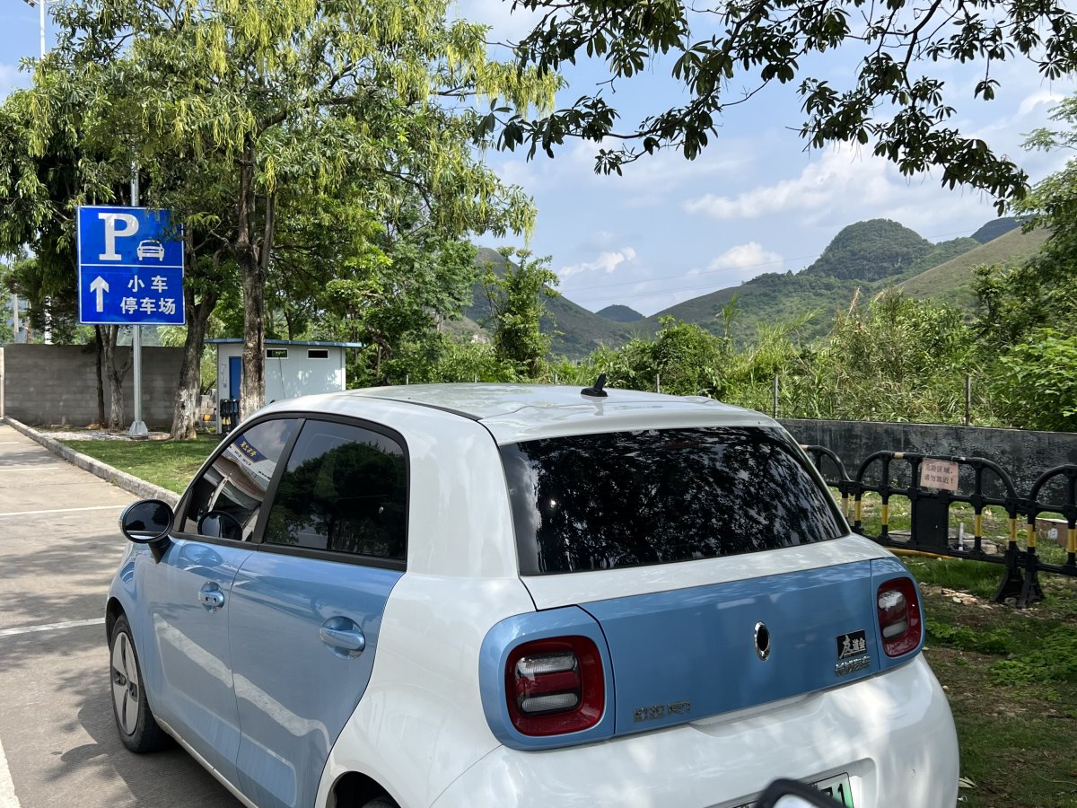 2019年6月歐拉 歐拉黑貓  2019款 2019款 351km 親子版
