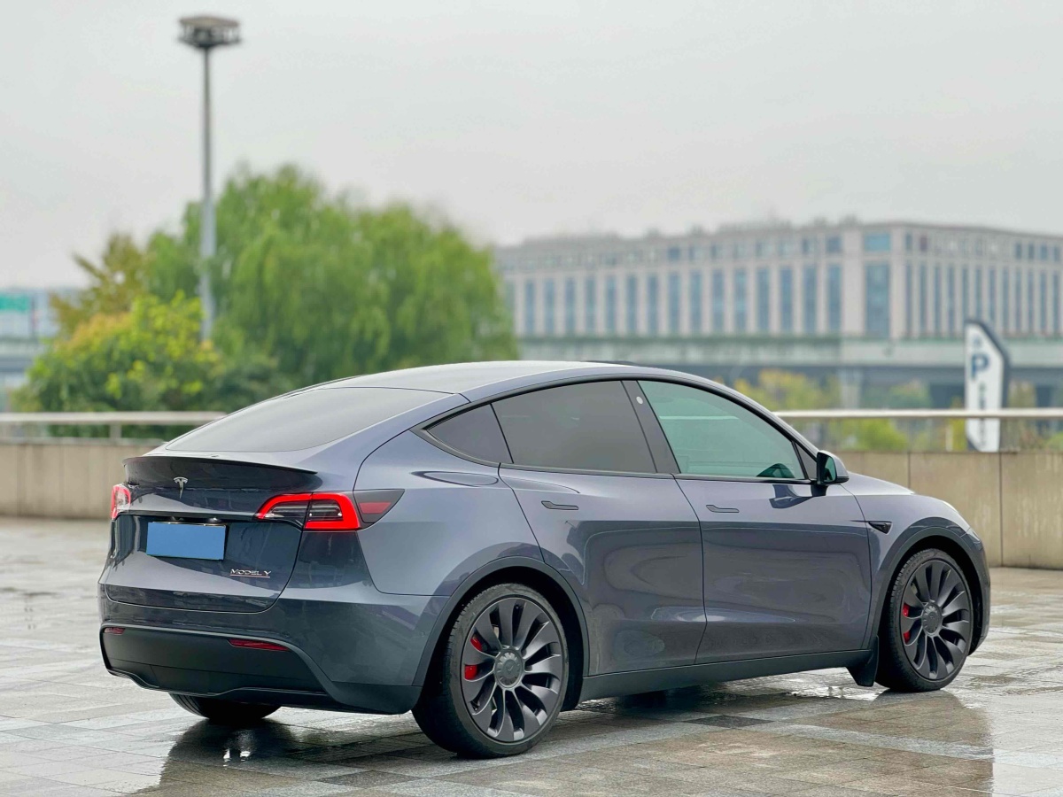 特斯拉 Model Y  2021款 改款 Performance高性能全輪驅動版圖片