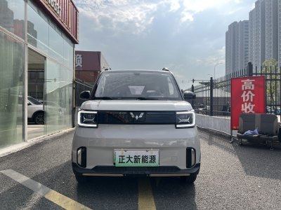 2023年1月 五菱 宏光MINIEV GAMEBOY 200km 競(jìng)速游俠限量版圖片