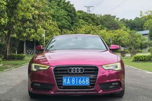 奧迪Q5 奧迪 40 TFSI 動(dòng)感型