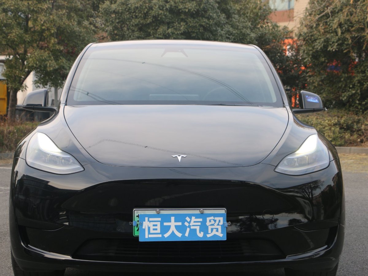 特斯拉 Model Y  2022款 后驅(qū)版圖片