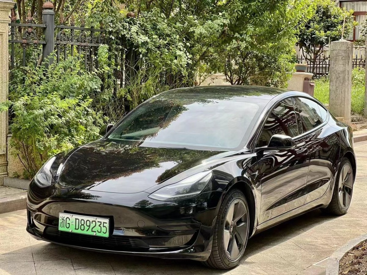 特斯拉 model 3 2019款 標準續航後驅升級版圖片