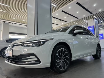 2024年08月 大眾 高爾夫 280TSI DSG Pro 達(dá)人版圖片