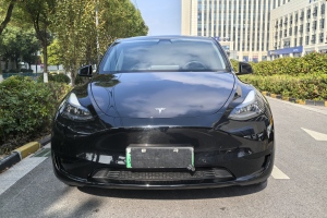 Model Y 特斯拉 后轮驱动版