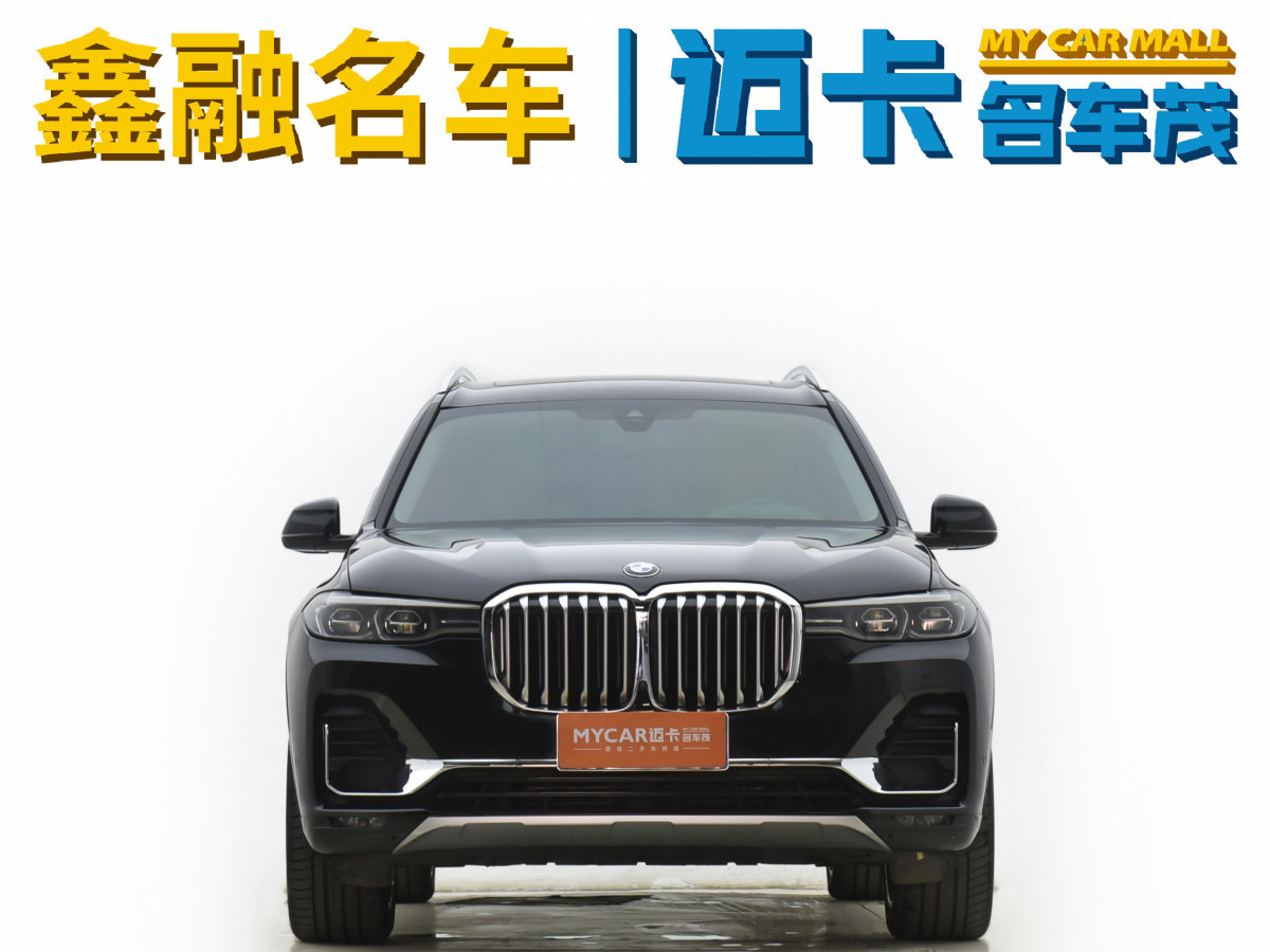 寶馬 寶馬X7  2019款  xDrive40i 領(lǐng)先型豪華套裝圖片