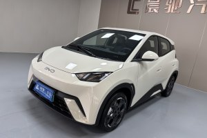 海鷗 比亞迪 305km 自由版