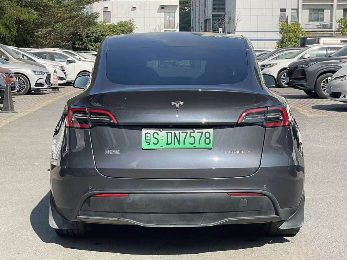 特斯拉 Model 3  2021款 標(biāo)準(zhǔn)續(xù)航后驅(qū)升級(jí)版 3D6圖片