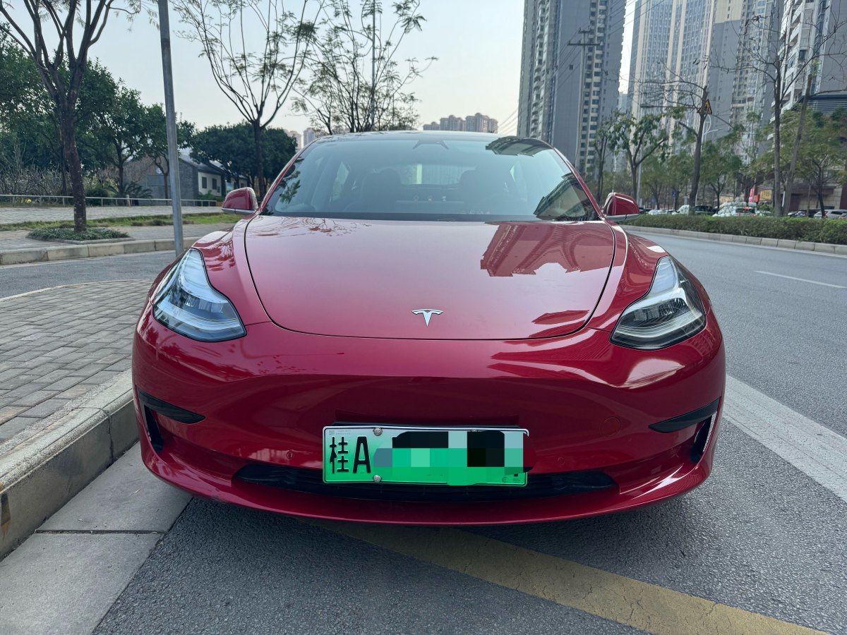 特斯拉 Model 3  2020款 改款 標(biāo)準(zhǔn)續(xù)航后驅(qū)升級版圖片