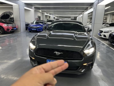 2016年1月 福特 Mustang(进口) 2.3T 性能版图片