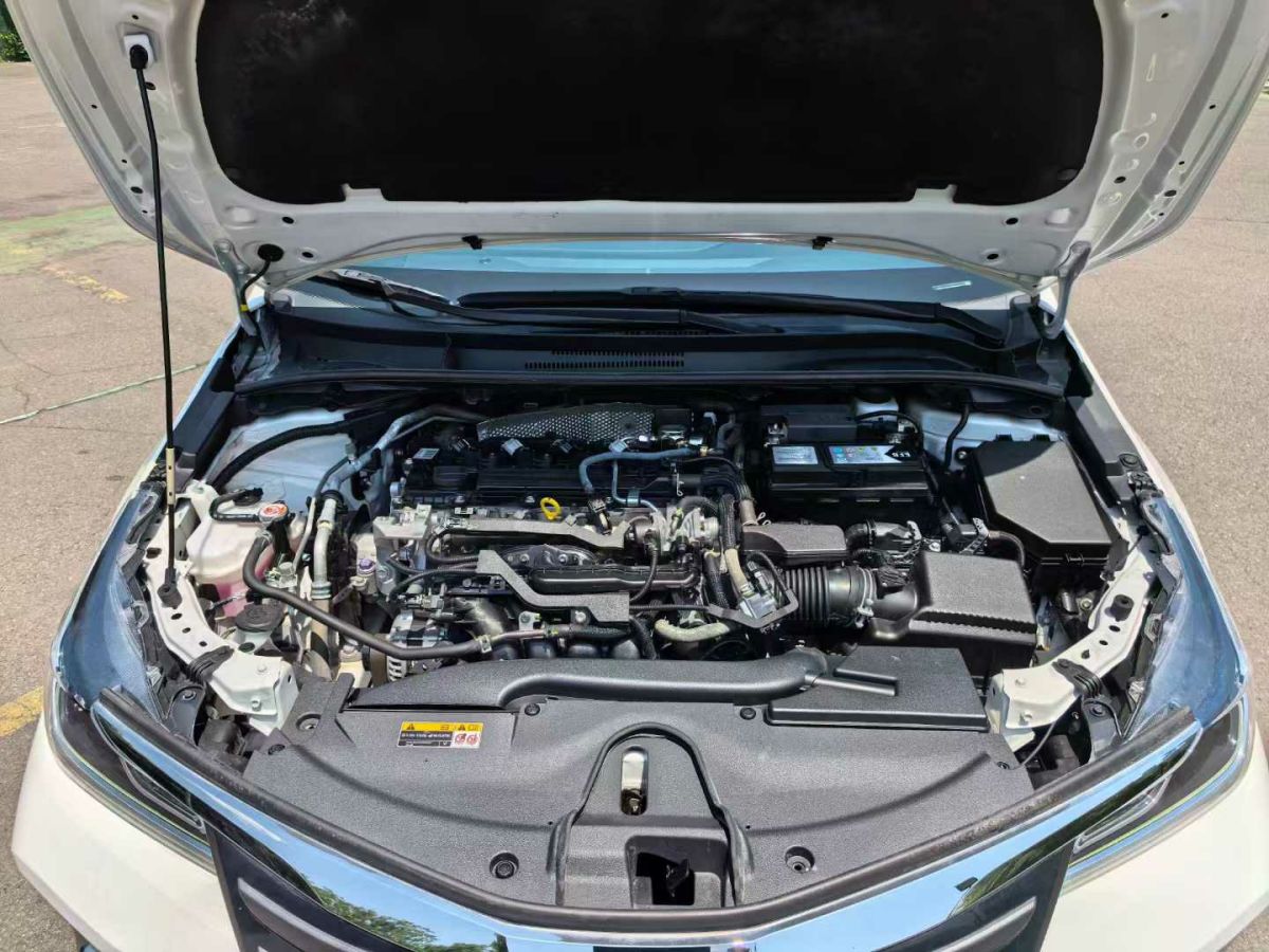 豐田 亞洲獅  2021款 2.0L 豪華版圖片
