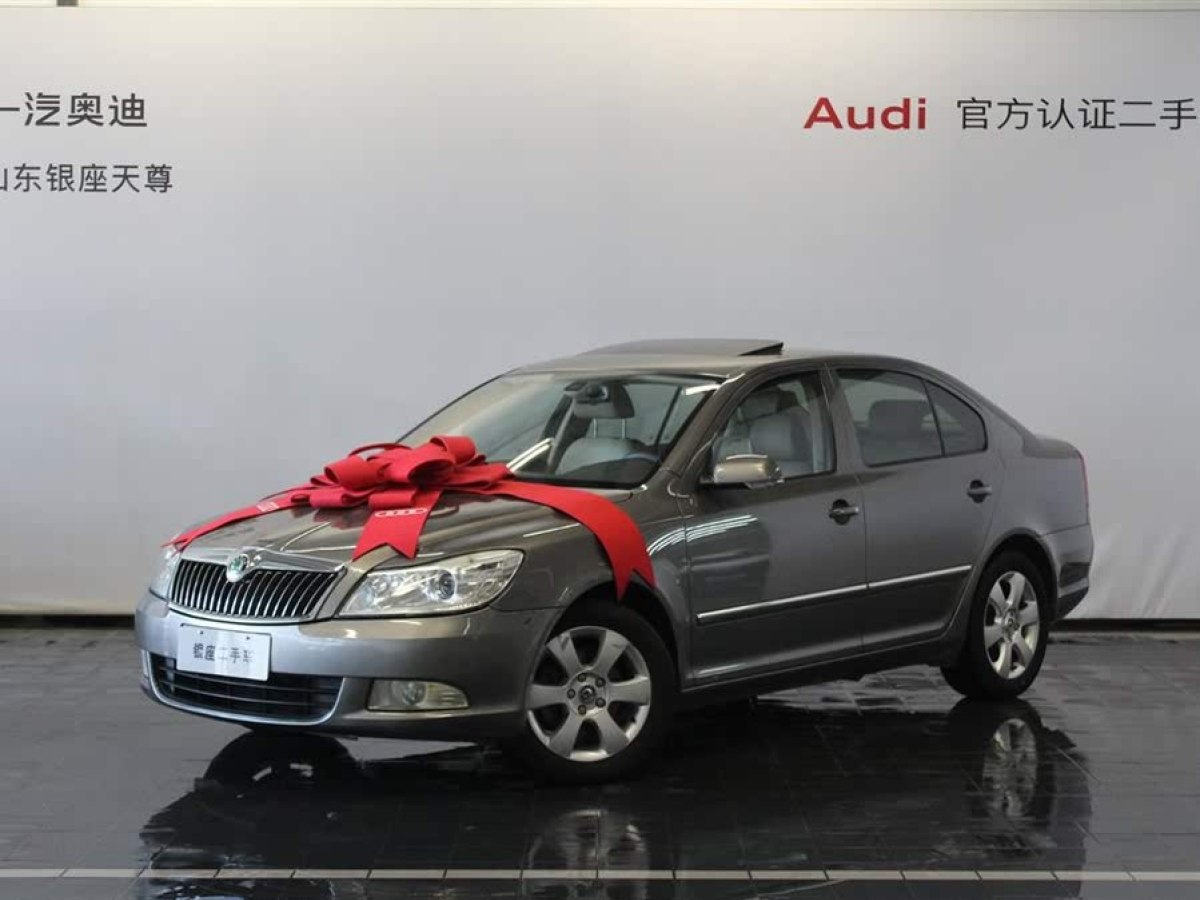 斯柯達(dá) 明銳  2010款 1.4TSI DSG逸俊版圖片