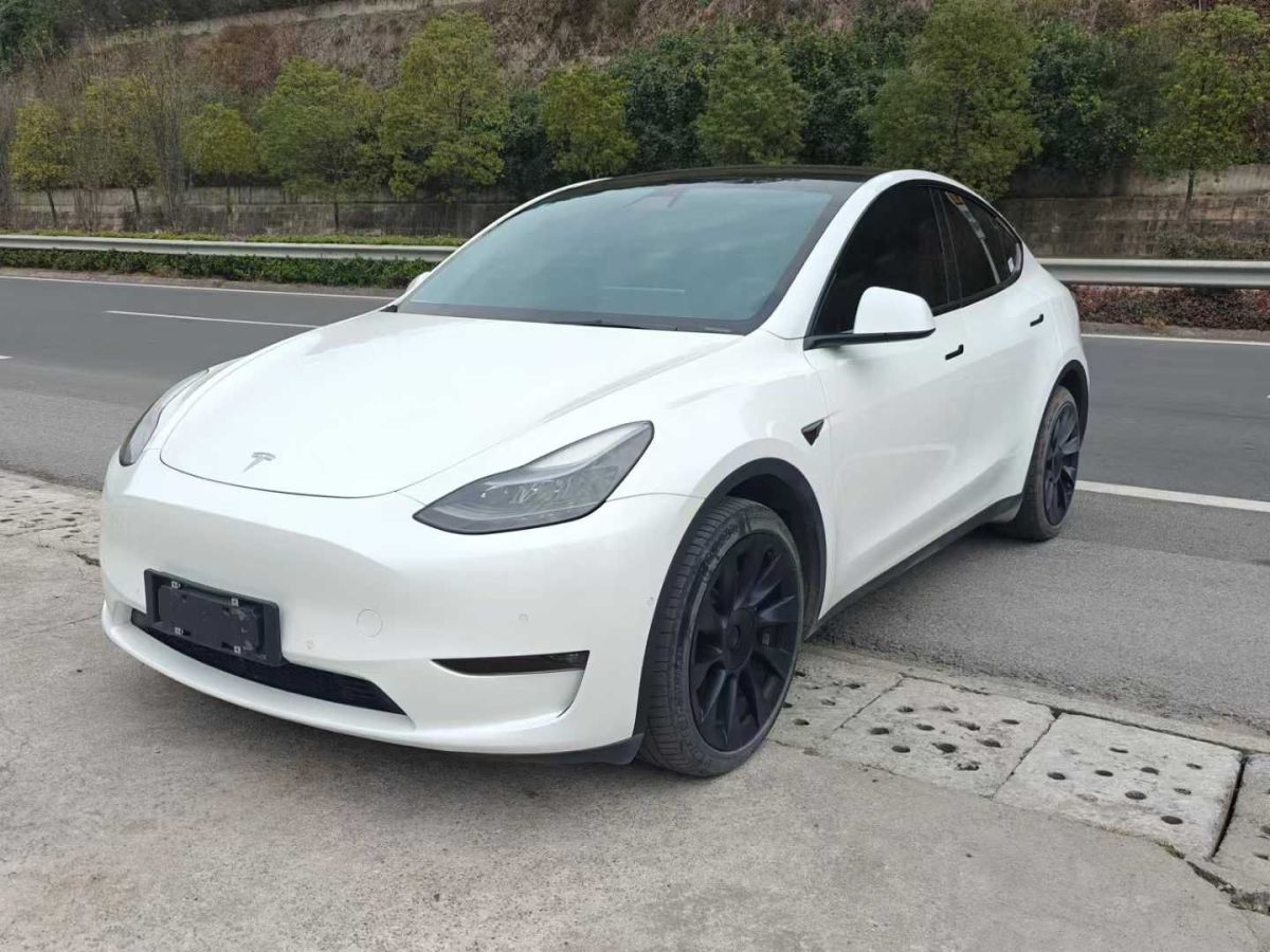 特斯拉 Model 3  2022款 Performance高性能全輪驅(qū)動(dòng)版圖片