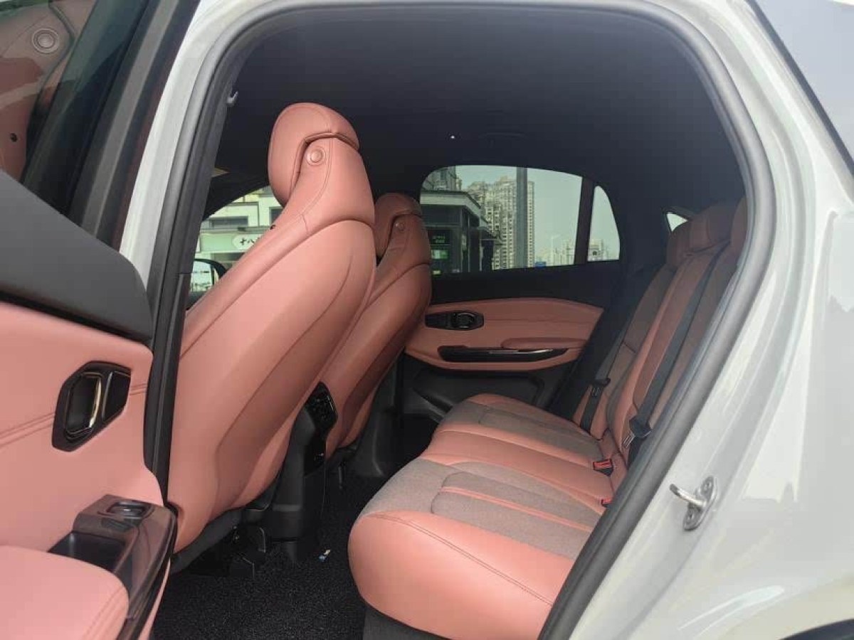 蔚來 蔚來EC6  2020款 440KM 性能版圖片