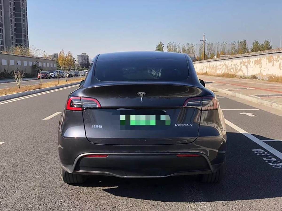 特斯拉 Model 3  2020款 改款 長續(xù)航后輪驅(qū)動版圖片