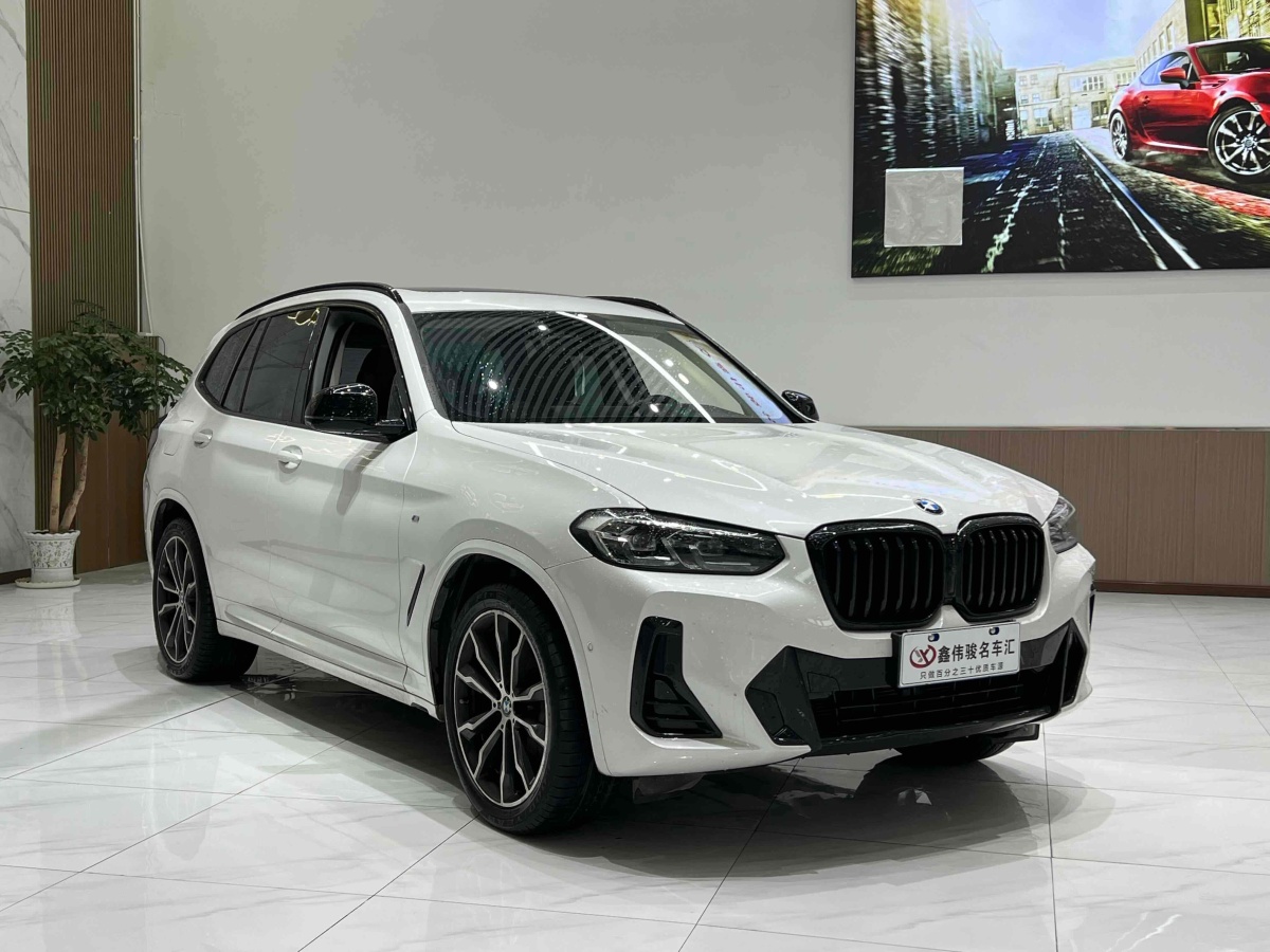 寶馬 寶馬X3  2022款 改款 xDrive30i 領(lǐng)先型 M曜夜套裝圖片