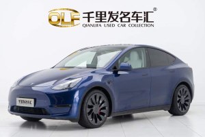Model Y 特斯拉 高性能全輪驅(qū)動(dòng)版
