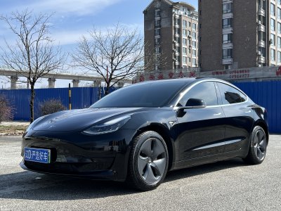 2020年9月 特斯拉 Model 3 改款 標(biāo)準(zhǔn)續(xù)航后驅(qū)升級版圖片