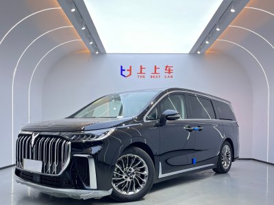 2024年5月 嵐圖 夢想家 PHEV 超長續(xù)航卓越版圖片