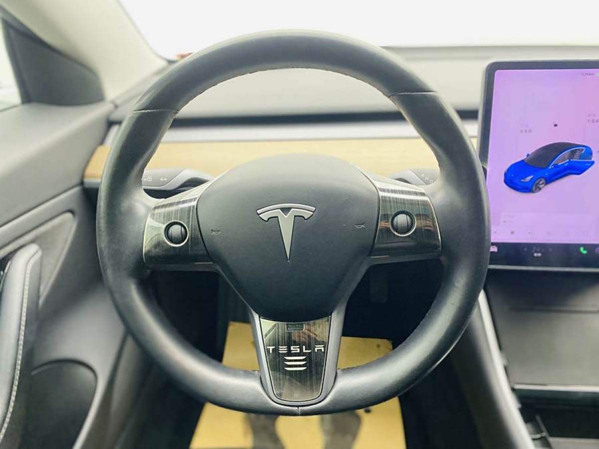 特斯拉 Model 3  2019款 長(zhǎng)續(xù)航后驅(qū)版圖片