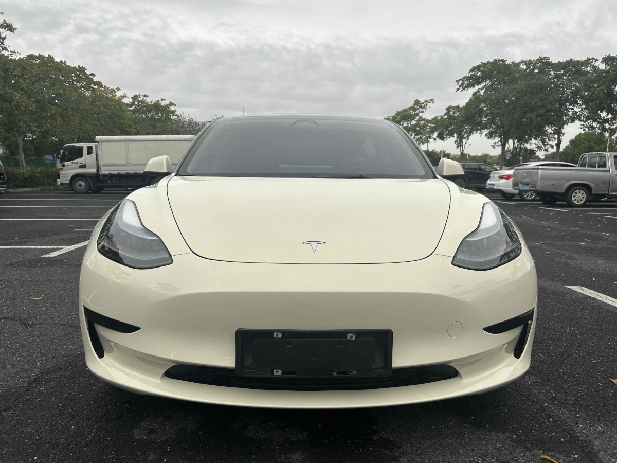 特斯拉 Model 3  2023款 煥新版 后輪驅(qū)動圖片