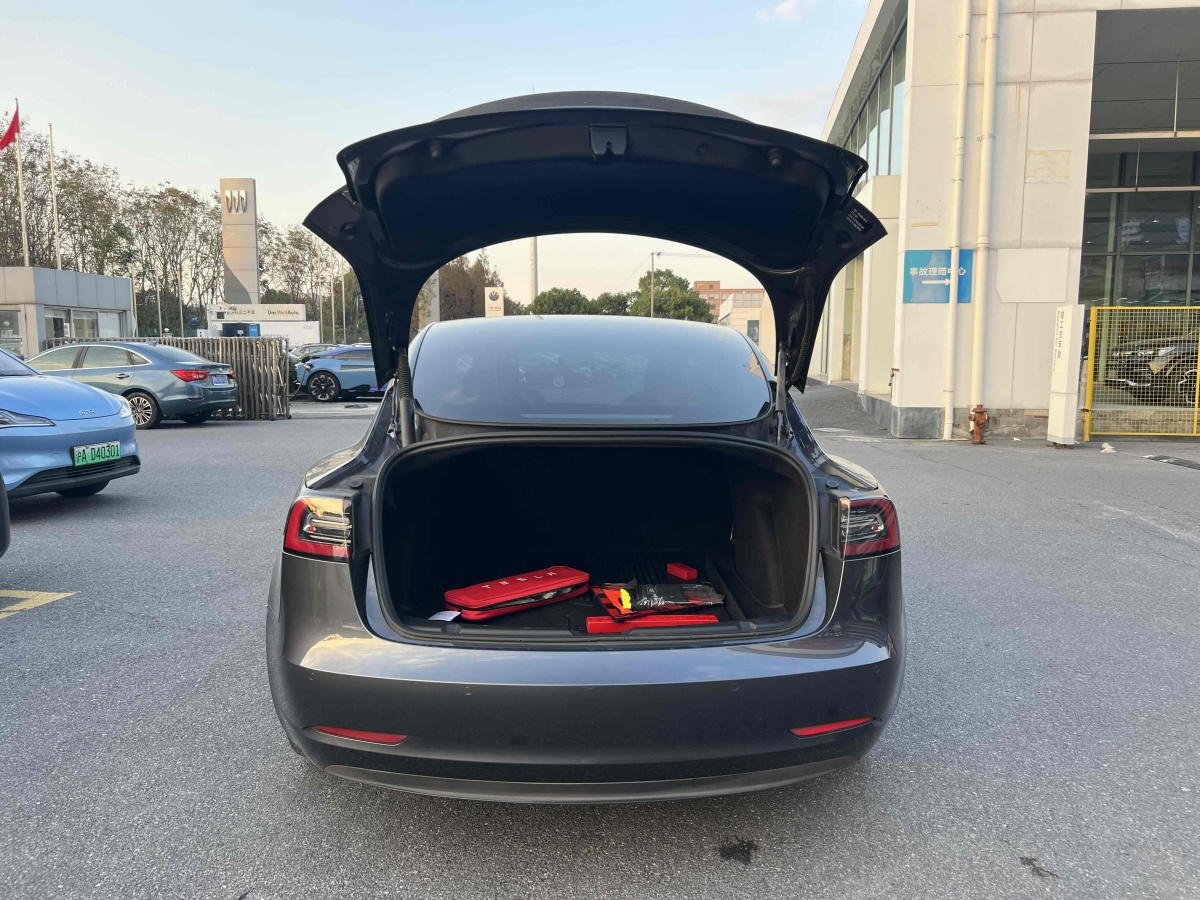 特斯拉 Model Y  2021款 Performance高性能全輪驅(qū)動(dòng)版圖片