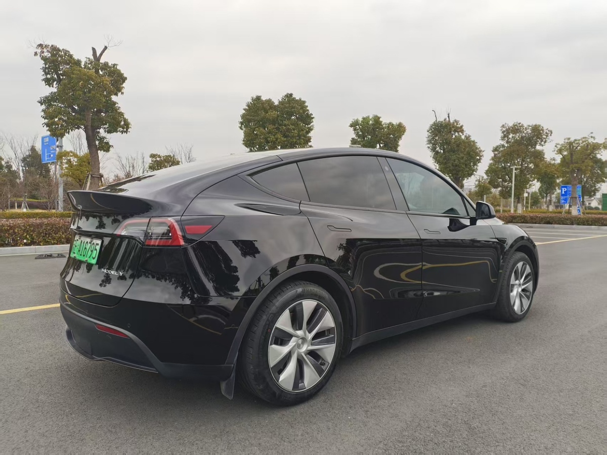 2022年03月特斯拉 Model Y  2022款 后驅(qū)版