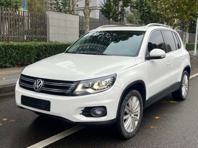 2012年1月 大众 途欢(进口) 2.0 TDI 豪华版图片