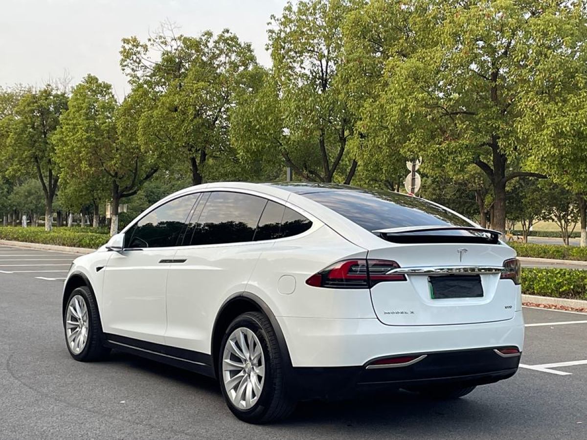 特斯拉 Model X  2017款 Model X 100D 長續(xù)航版圖片