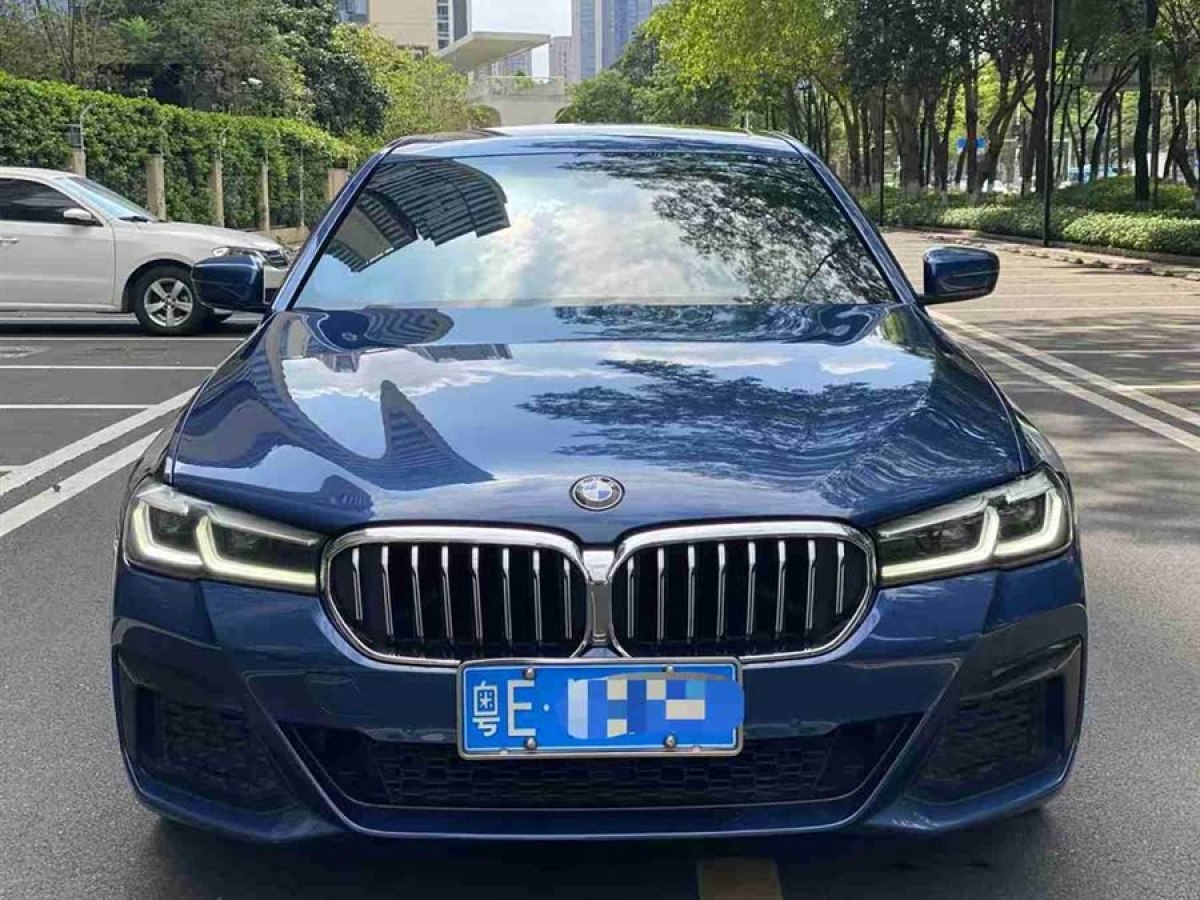 寶馬 寶馬5系  2021款 530Li 領(lǐng)先型 M運動套裝圖片