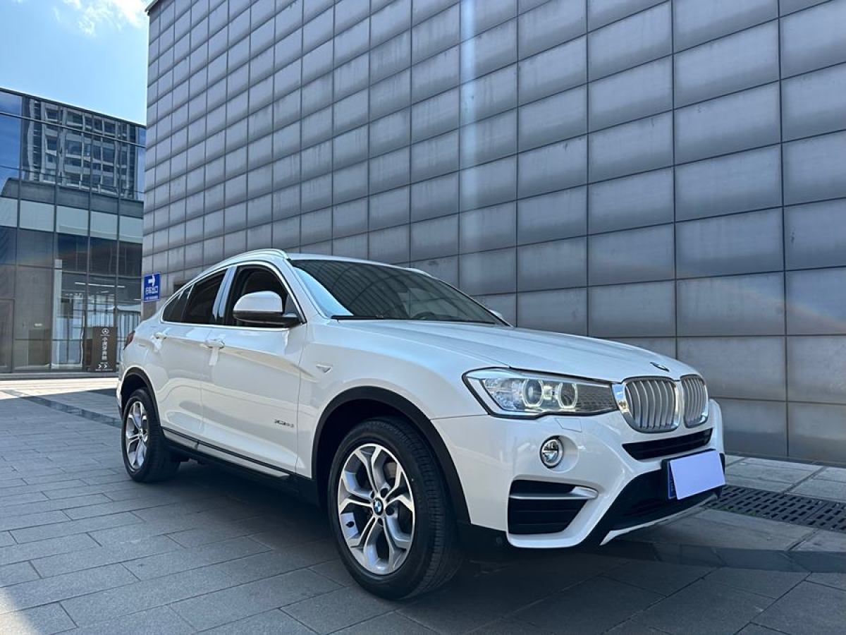 寶馬 寶馬X4  2014款 xDrive20i X設(shè)計(jì)套裝圖片