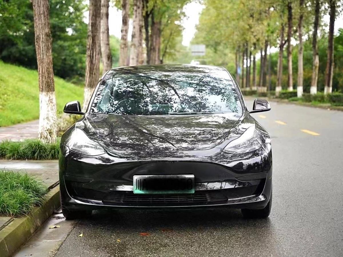 特斯拉 Model 3  2021款 改款 標準續(xù)航后驅(qū)升級版圖片