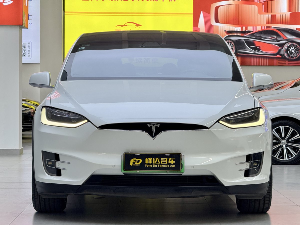 特斯拉 Model X  2016款 Model X 75D圖片